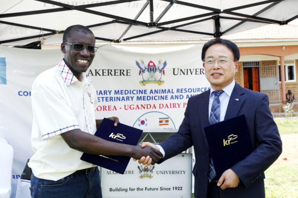 Hon. KIM Byung-Soo (R) and Prof. Frank Norbert Mwiine (L) shake hands after exchanging signed documents after the handover of the KUDaP Dairy Demonstration Farm Facility at Nakyesasa, CoVAB.