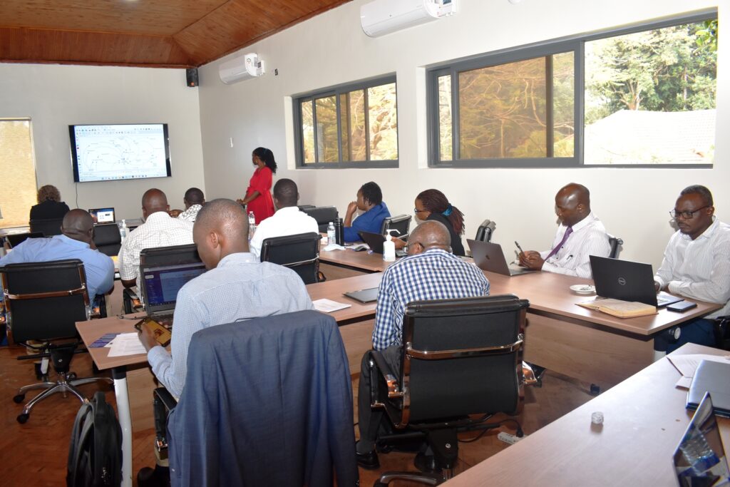 Dr. Kayendeke sensitizing participants on the Causal Loop Diagram methodology.