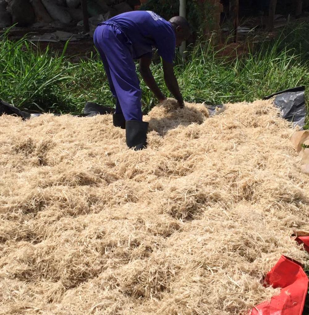 Waste chicken feather processing. Courtesy Photo.