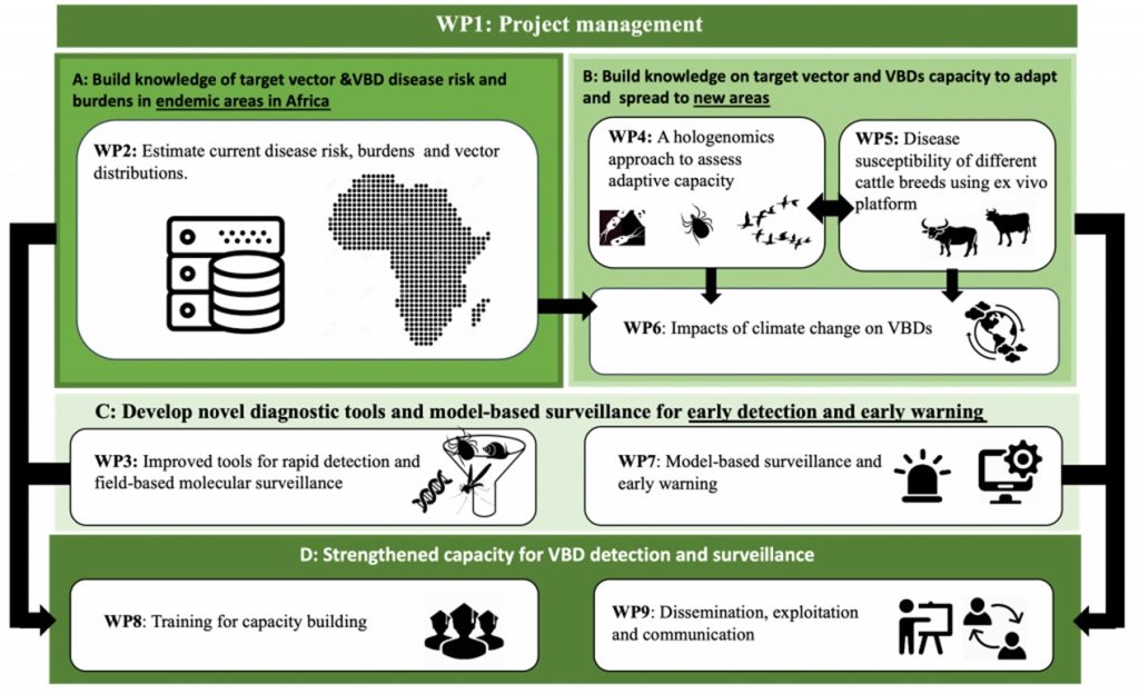Vector-Borne Diseases (VBDs) Project Management.
