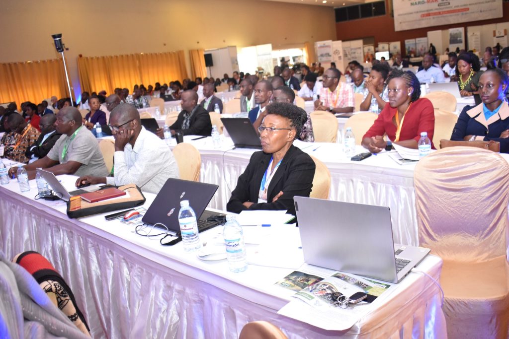 Participants follow the proceedings of the conference.