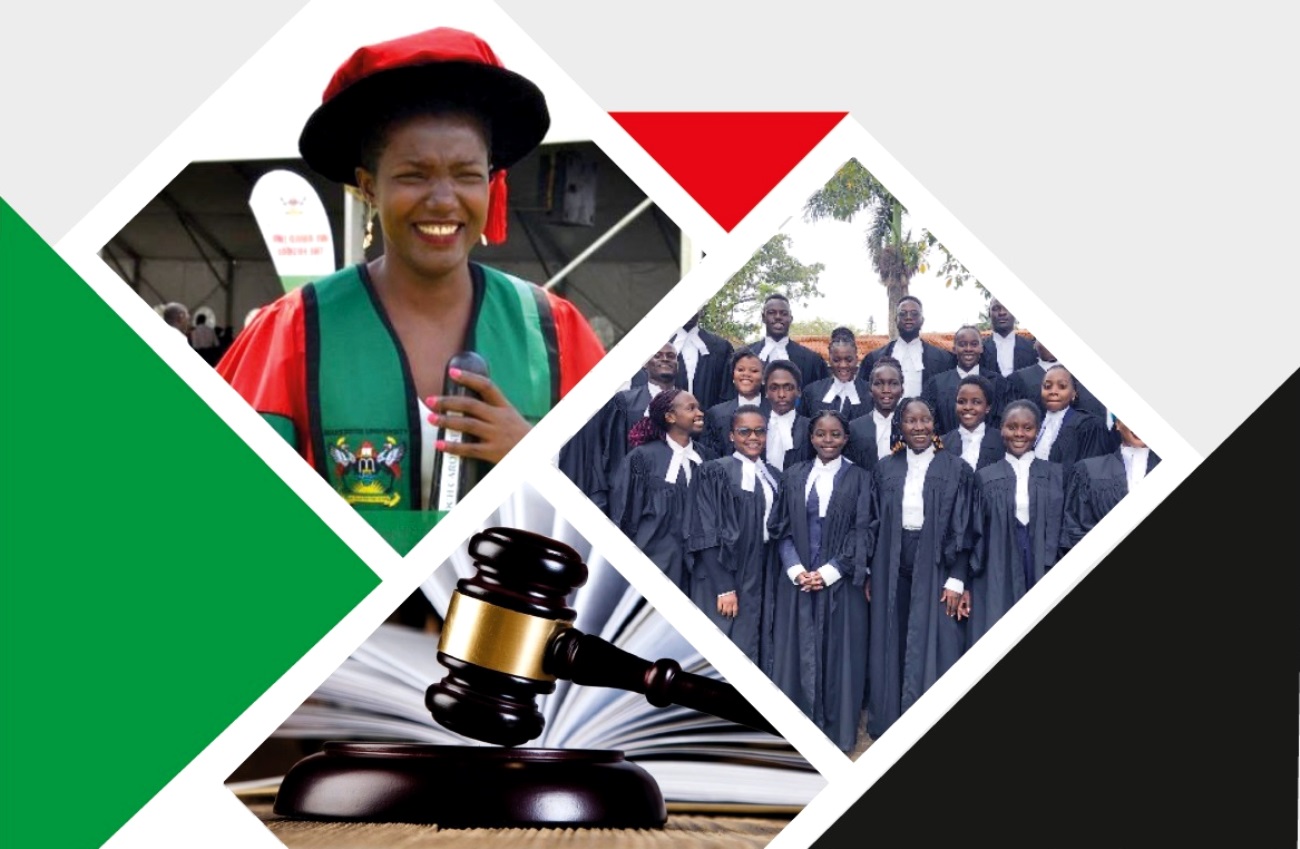 Cover page of the School of Law Annual Report 2022.