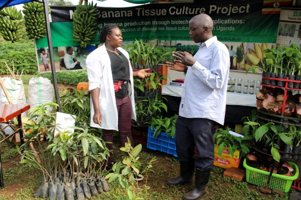 A CAES staff providing details about the Banana Tissue Culture Project. 29th Source of the Nile National Agricultural Show, Jinja, Uganda. 4th-13th August 2023.