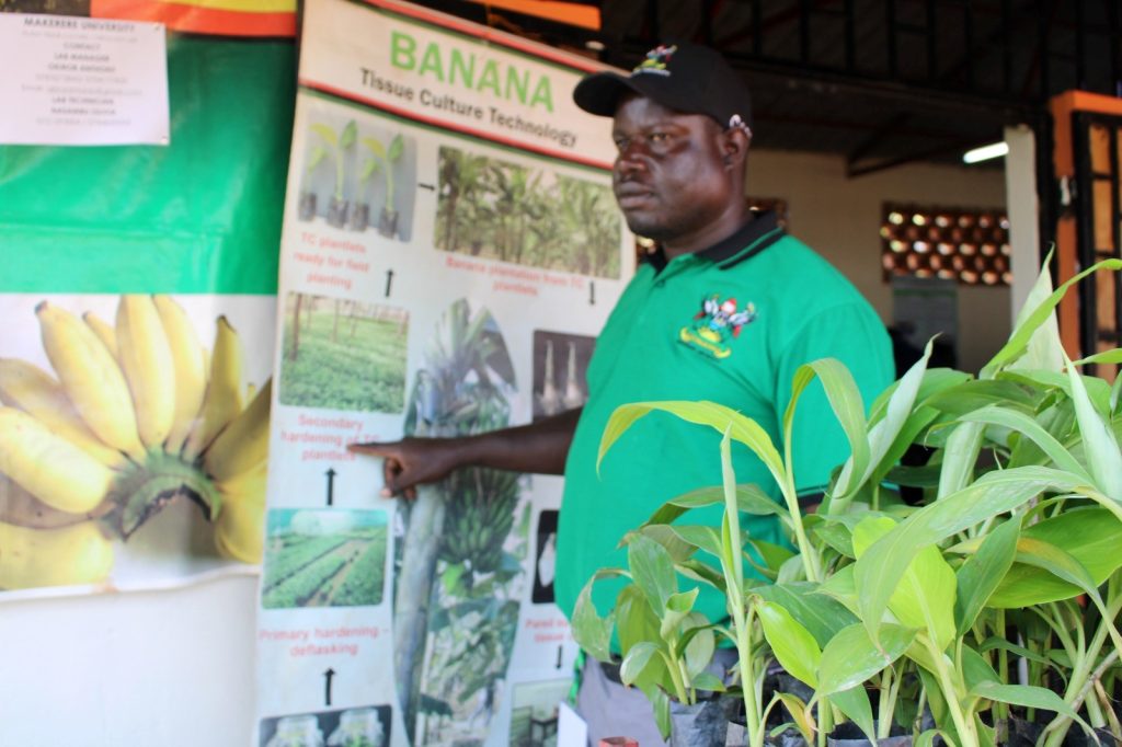 Dr. Anthony Okiror presented his projects on Banana Tissue Culture Technology and sustaining sweet potato productivity by exploiting 'reversion' from virus infection. 29th Source of the Nile National Agricultural Show, Jinja, Uganda. 4th-13th August 2023.