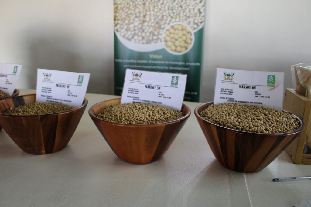 Some of the high yielding Mak Soybean varieties showcased at the exhibition. Some of the high yielding Mak Soybean varieties showcased at the exhibition.