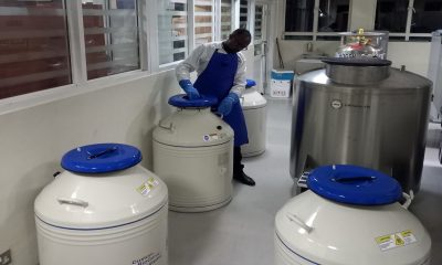 Some of the equipment used to store samples at the Makerere University Biomedical Research Centre (MakBRC), College of Health Sciences (CHS). Kampala Uganda, East Africa.