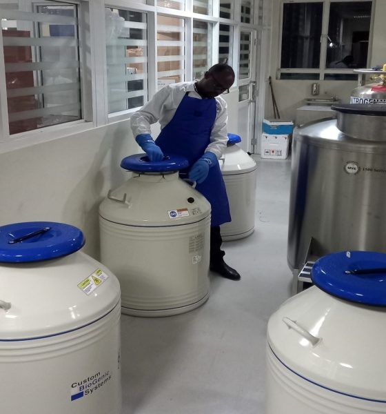 Some of the equipment used to store samples at the Makerere University Biomedical Research Centre (MakBRC), College of Health Sciences (CHS). Kampala Uganda, East Africa.