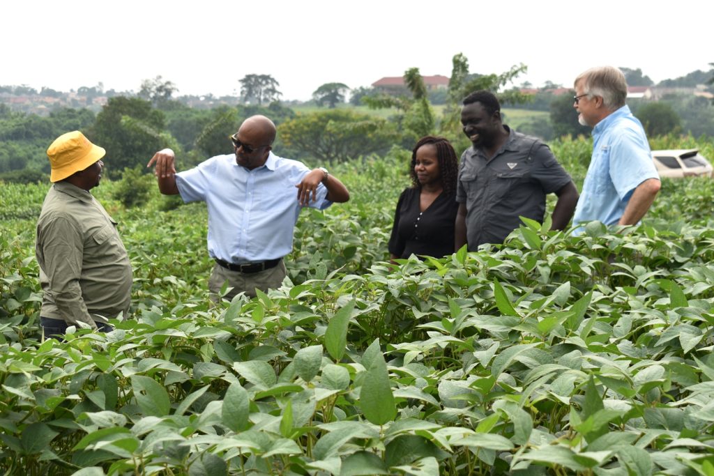 Prof. Tukamuhabwa responding to an inquiry from Dr Chigeza. Africa Soybean Breeders Meeting, 28th November to 1st December 2023, Makerere University, MUARIK, Kampala Uganda, East Africa.