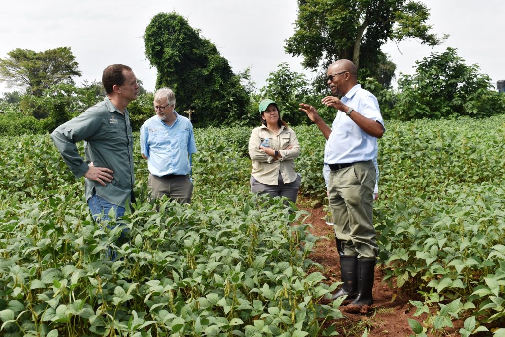 Prof. Tukamuhabwa responds to inquiries about the soybean field. Africa Soybean Breeders Meeting, 28th November to 1st December 2023, Makerere University, MUARIK, Kampala Uganda, East Africa.