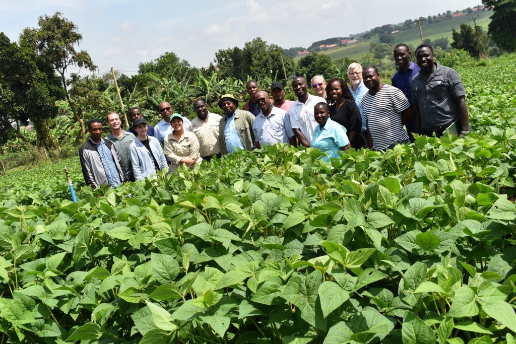 The breeders team after touring the soybean field at MUARIK. Africa Soybean Breeders Meeting, 28th November to 1st December 2023, Makerere University, MUARIK, Kampala Uganda, East Africa.