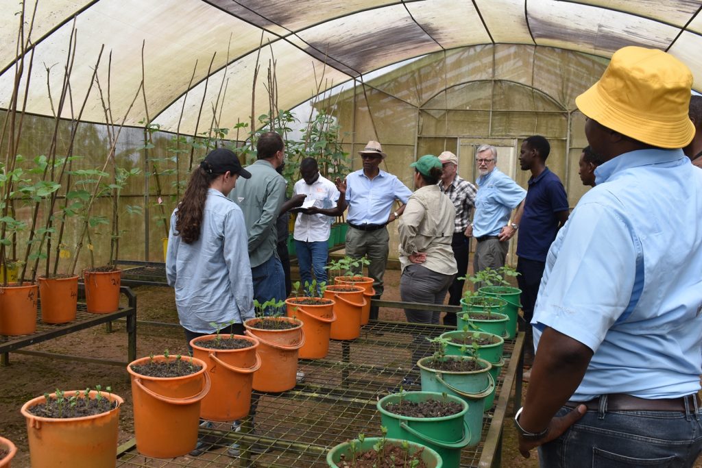 The breeders touring the screen houses at MUARIK. Africa Soybean Breeders Meeting, 28th November to 1st December 2023, Makerere University, MUARIK, Kampala Uganda, East Africa.