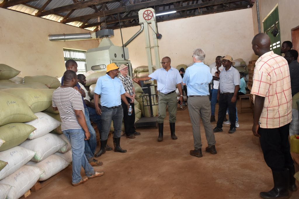 The breeders at the soybean seed storage facility at MUARIK. Africa Soybean Breeders Meeting, 28th November to 1st December 2023, Makerere University, MUARIK, Kampala Uganda, East Africa.