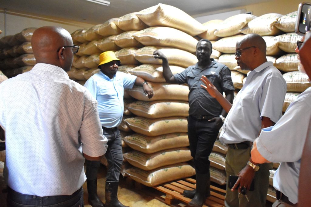 One of the soybean seed storage facilities at MUARIK. Africa Soybean Breeders Meeting, 28th November to 1st December 2023, Makerere University, MUARIK, Kampala Uganda, East Africa.