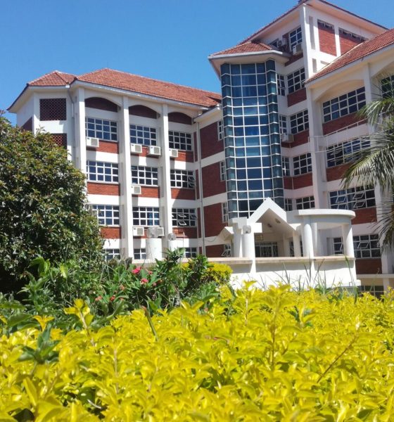 Block A of the College of Computing and Information Sciences (CoCIS), Makerere University, with foliage in the foreground, Kampala Uganda, East Africa.