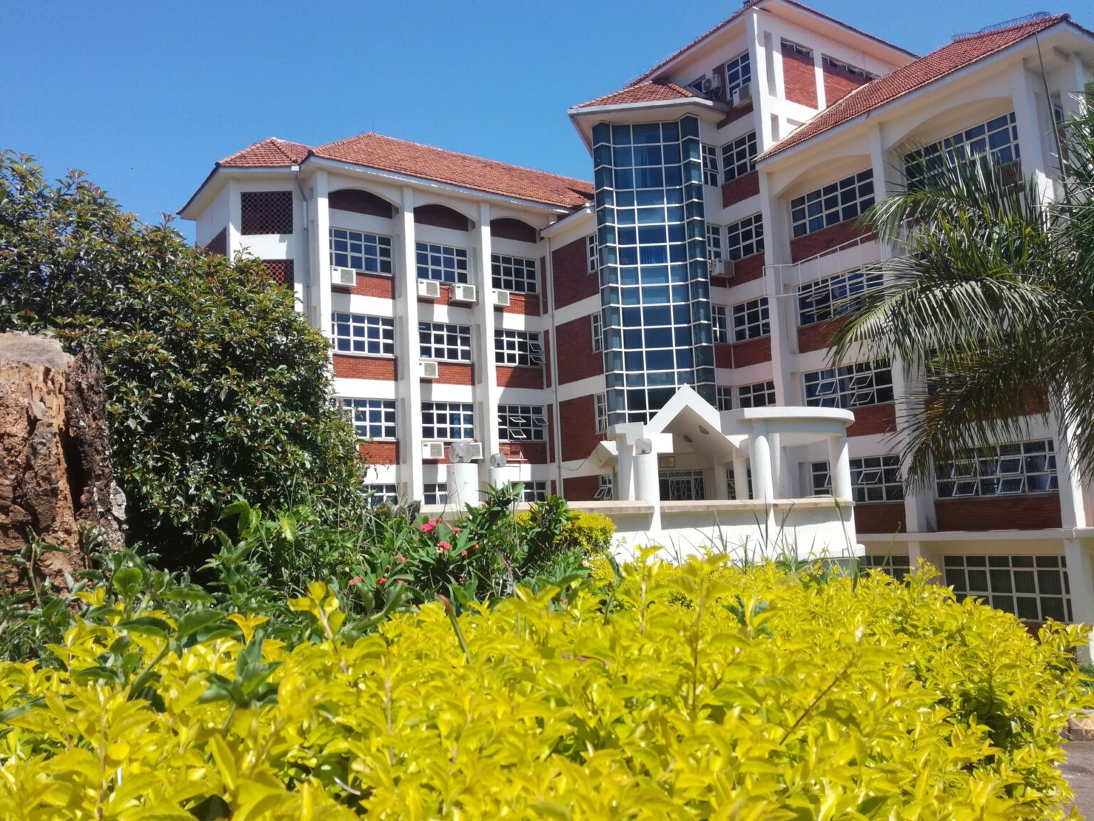 Block A of the College of Computing and Information Sciences (CoCIS), Makerere University, with foliage in the foreground, Kampala Uganda