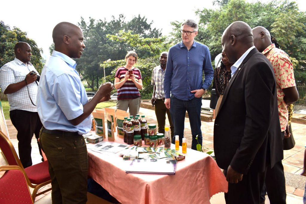 Some of the tea products showcased by NARO at the launch of the project. Nature-based Solutions for Climate-Resilient Tea Production in Uganda (NbS4Tea) Project Launch, 16th January 2024, Conference Hall, School of Food Technology, Nutrition and Bioengineering, CAES, Makerere University, Kampala Uganda, East Africa.