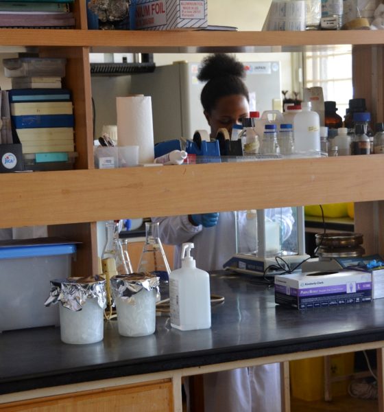 A female user inside one of the Labs at CoVAB. College of Veterinary Medicine, Animal Resources and Biosecurity, Makerere University, Kampala Uganda.