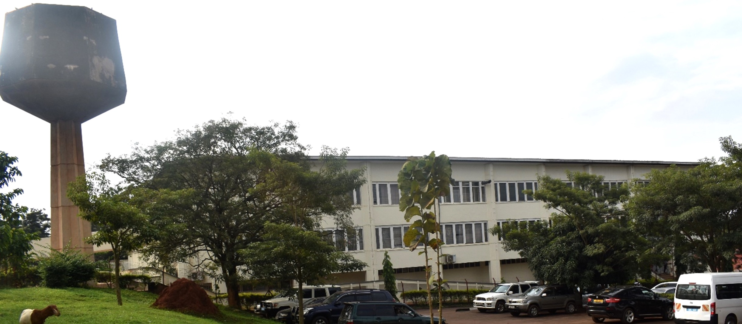 Main Block of the College of Veterinary Medicine, Animal Resources and Bio-security (CoVAB). Makerere University, Kampala Uganda, East Africa.