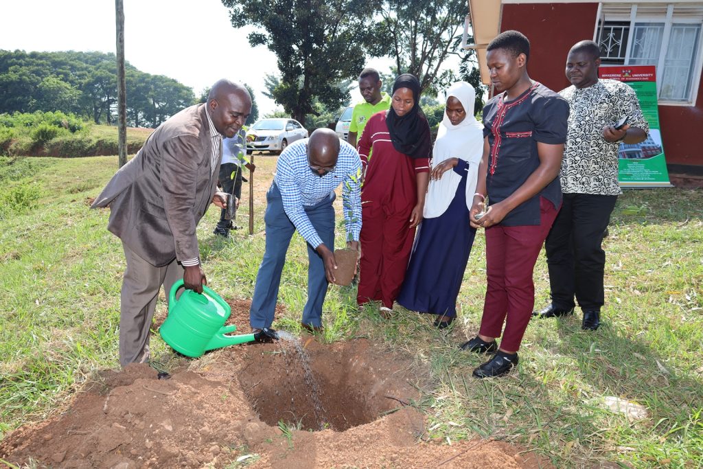 Dr. John Seruyange with students and research fellows assist Mr. Kabugo Denis Paul plant a tree. Students from Economics program at the College of Business and Management Sciences, Makerere University, Kampala Uganda, East Africa, in conjunction with Research Fellows from Environment for Development (EfD), Makerere University donation of 2,000 tree seedlings to Masaka District Local Government (DLG), 14th June 2024.