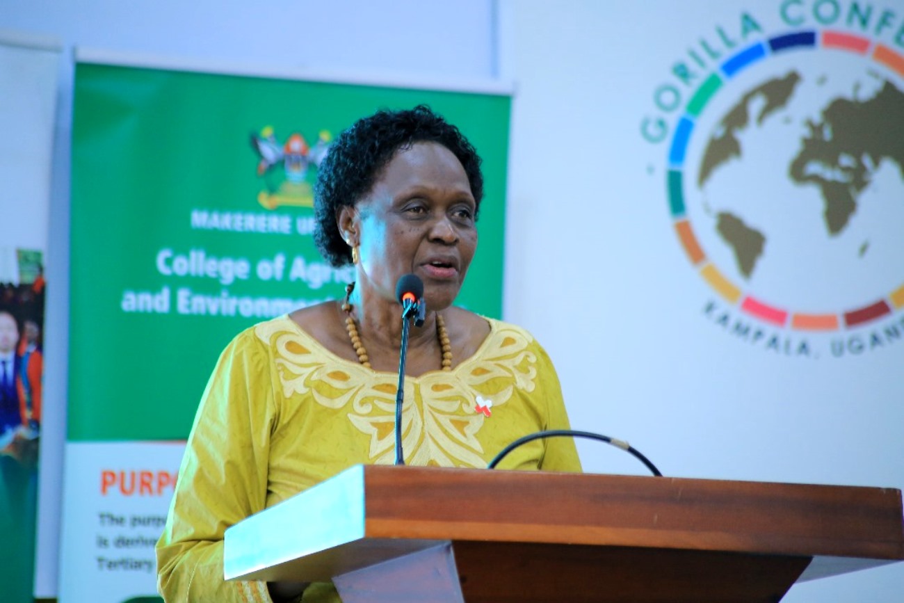 The Chief Guest, Hon. Beatrice Atim Anywar officially opens the 3rd GORILLA Conference. College of Agricultural and Environmental Sciences (CAES), Makerere University in partnership with International Geographical Union (IGU) Commission of Biogeography and Biodiversity, the IGU Commission on African Studies, Uganda Geographical Association, and the International Association of Landscape Ecology (IALE) African Chapter, 3rd International Conference on Geographical Science for Resilient Communities, Ecosystems and Livelihoods under Global Environmental Change (GORILLA), Day 1, 4th December 2024, Hotel Africana, Kampala Uganda, East Africa.