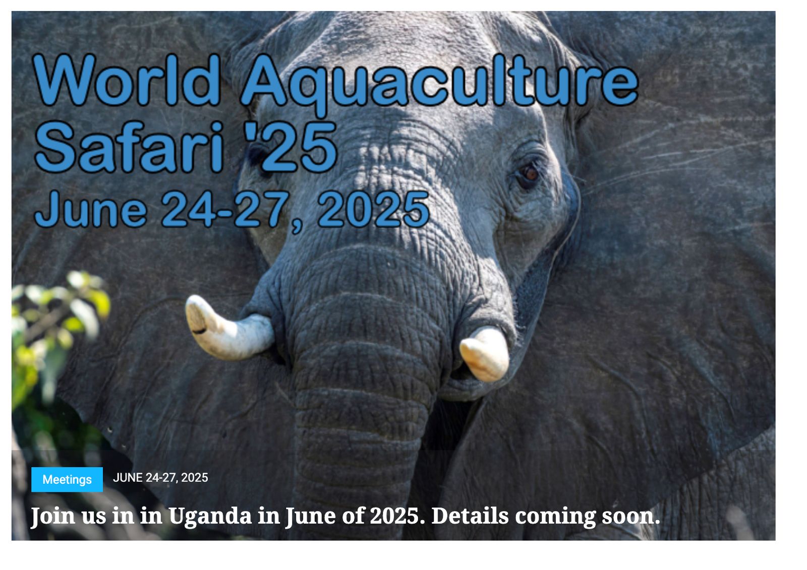 WORLD AQUACULTURE SAFARI 2025: Biggest Aquaculture Meeting in Africa, 24th-27th June 2025, Speke Resort Munyonyo, Kampala Uganda, East Africa.