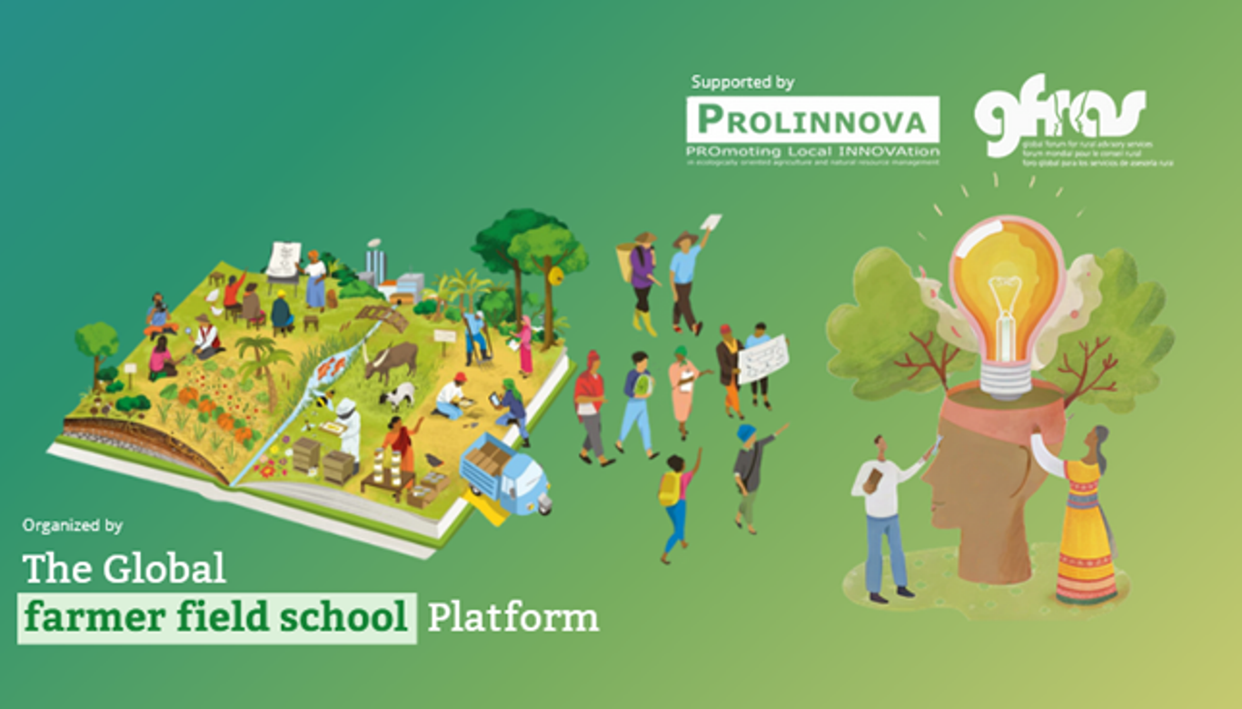 Apply now! 2025 Farmer field schools innovation award is now open for submissions!