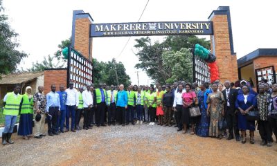 CAES staff at the refurbished main gate at MUARIK. The gate was officially commissioned by the Vice Chancellor, represented by the DVCAA, Prof. Buyinza Mukadasi on 30th May 2025. College of Agricultural and Environmental Sciences (CAES) refurbishment of Makerere University Agricultural Research Institute Kabanyolo (MUARIK) Main Gate by students from both CAES and the College of Engineering, Design, Art, and Technology (CEDAT), official opening, 30th May 2025, Wakiso Uganda, East Africa.
