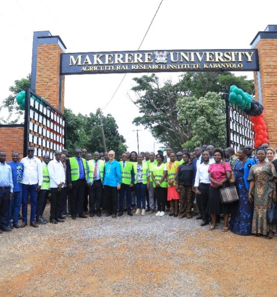 CAES staff at the refurbished main gate at MUARIK. The gate was officially commissioned by the Vice Chancellor, represented by the DVCAA, Prof. Buyinza Mukadasi on 30th May 2025. College of Agricultural and Environmental Sciences (CAES) refurbishment of Makerere University Agricultural Research Institute Kabanyolo (MUARIK) Main Gate by students from both CAES and the College of Engineering, Design, Art, and Technology (CEDAT), official opening, 30th May 2025, Wakiso Uganda, East Africa.