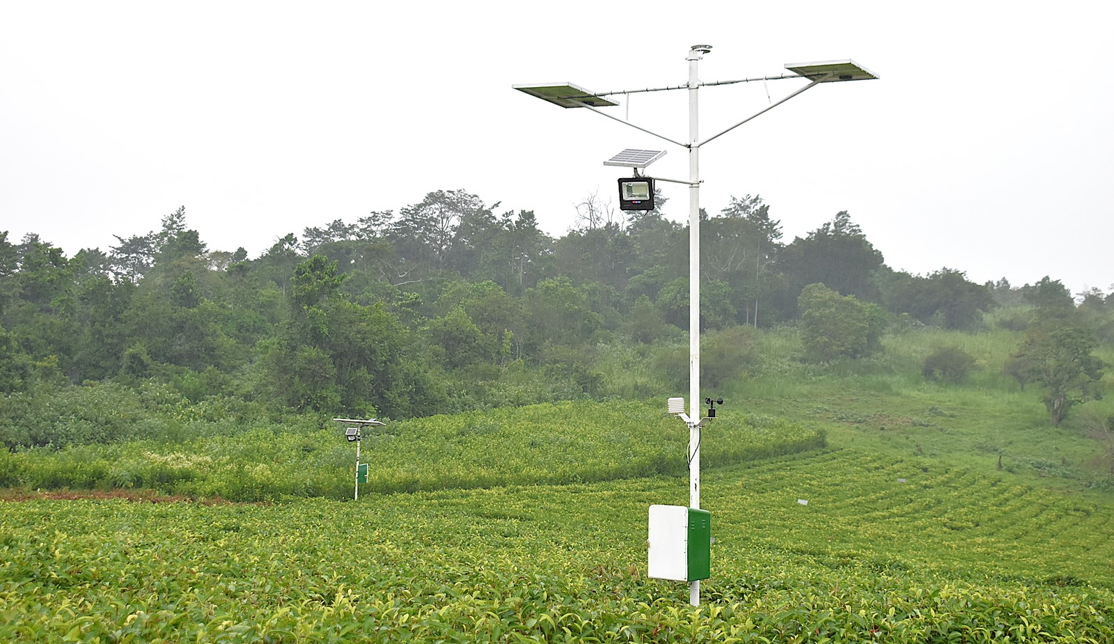 Part of the Drip Irrigation System set up by the project team at Rwebitaba Tea Research Centre. Nature-based Solutions for Tea (NbS4Tea) project at College of Agricultural and Environmental Sciences (CAES), Makerere University, Kampala, Funded by the Danish Fellowship Centre under Denmark’s Ministry of Foreign Affairs, deployment of drones to improve environmental and agricultural data collection at Rwebitaba Tea Research Centre in Kyenjojo District, Uganda, East Africa, 19th June 2025.