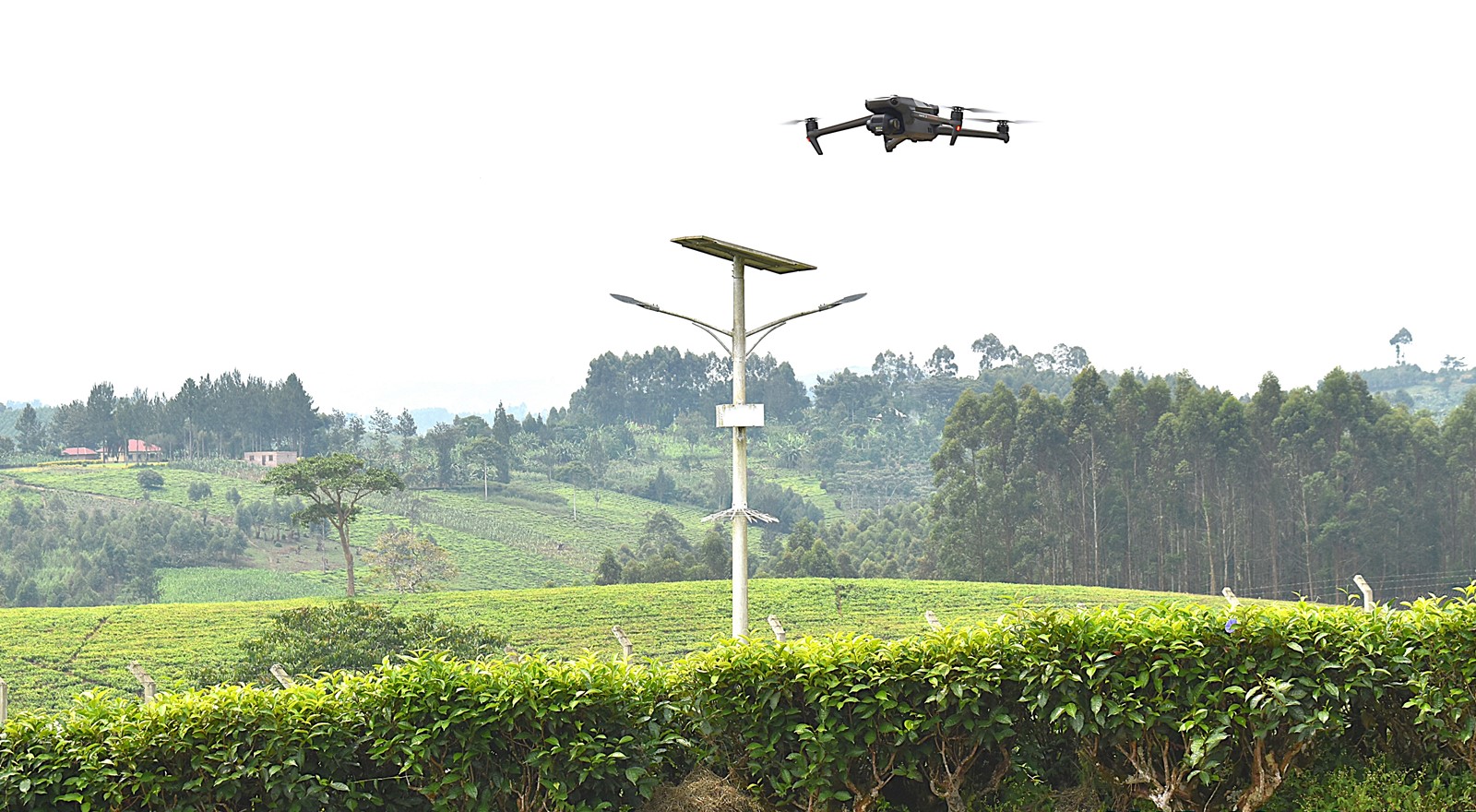 One of the drones to be used by the project team flying over the research area during the training session. Nature-based Solutions for Tea (NbS4Tea) project at College of Agricultural and Environmental Sciences (CAES), Makerere University, Kampala, Funded by the Danish Fellowship Centre under Denmark’s Ministry of Foreign Affairs, deployment of drones to improve environmental and agricultural data collection at Rwebitaba Tea Research Centre in Kyenjojo District, Uganda, East Africa, 19th June 2025.