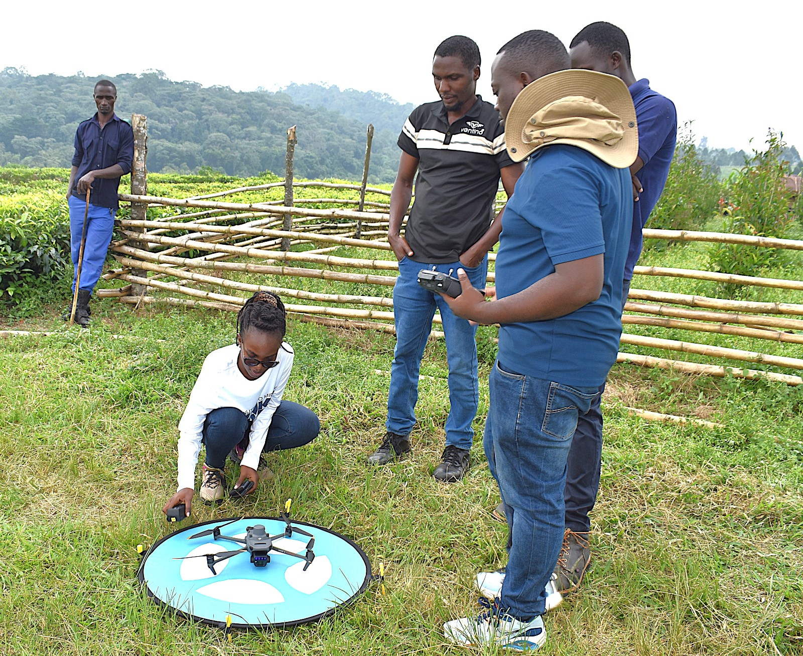 Ms. Sarah Namayengo, a PhD student supported by the project tests her skills after the training. Nature-based Solutions for Tea (NbS4Tea) project at College of Agricultural and Environmental Sciences (CAES), Makerere University, Kampala, Funded by the Danish Fellowship Centre under Denmark’s Ministry of Foreign Affairs, deployment of drones to improve environmental and agricultural data collection at Rwebitaba Tea Research Centre in Kyenjojo District, Uganda, East Africa, 19th June 2025.