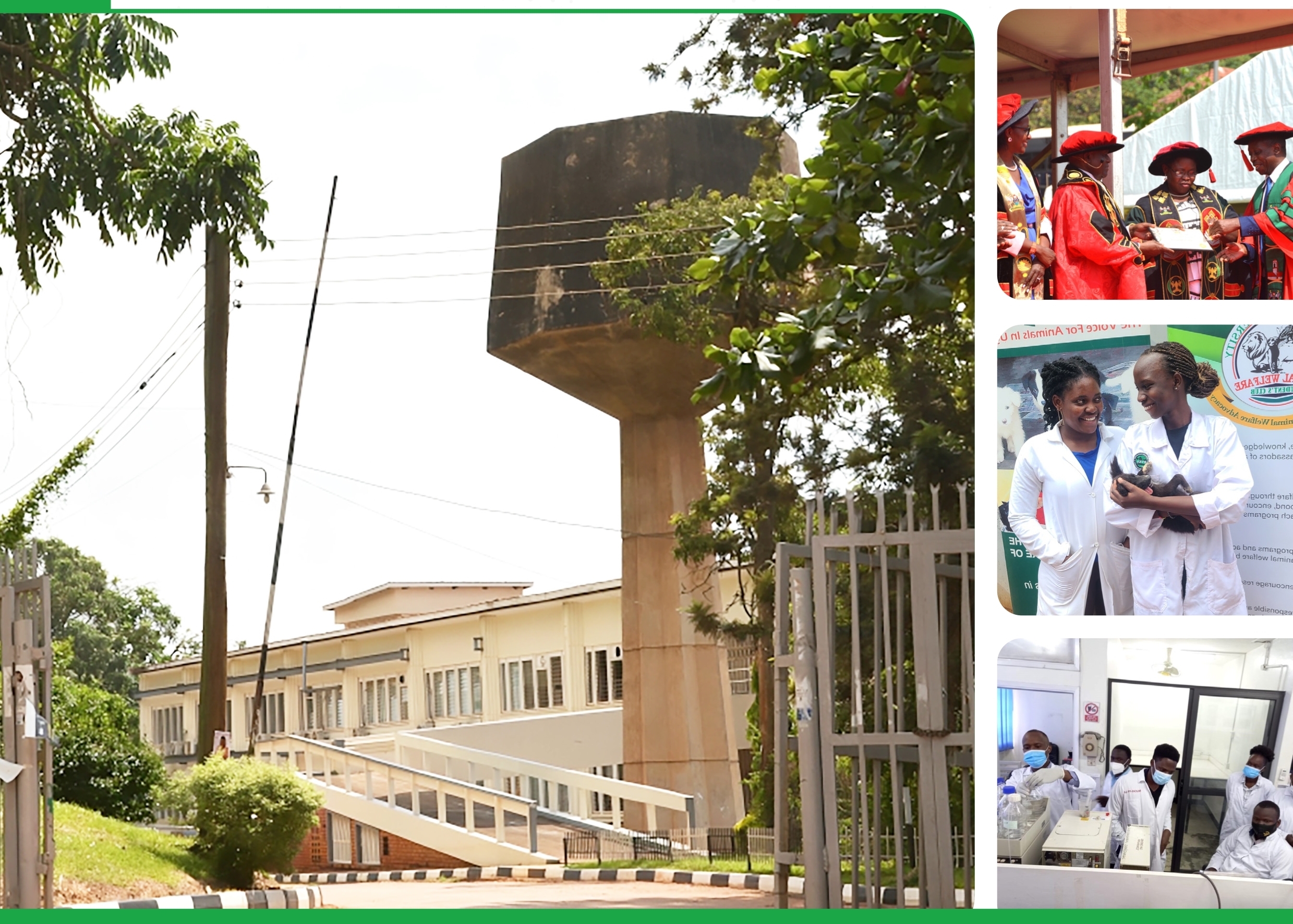 Cover page of the College of Veterinary Medicine, Animal Resources, and Biosecurity (CoVAB) Annual Report 2024. Makerere University, Kampala Uganda, East Africa.