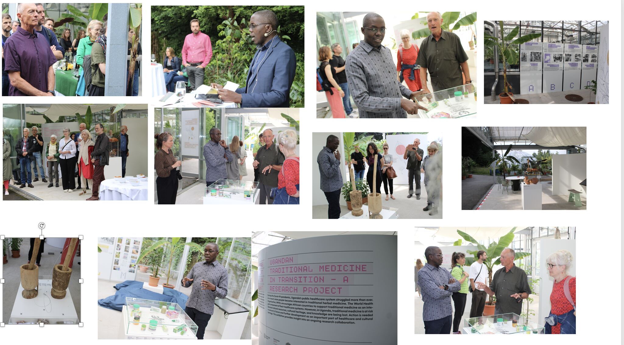 A photo montage of Dr. Godwin Anywar at the project ‘Traditional medicine in Transition (TMT)’ at the Institute of Systematic and Evolutionary Botany (ISEB) and Botanical Garden, University of Zurich, Switzerland. 4th-12th June 2025. Photo: LinkedIn/Dr. Godwin Anywar