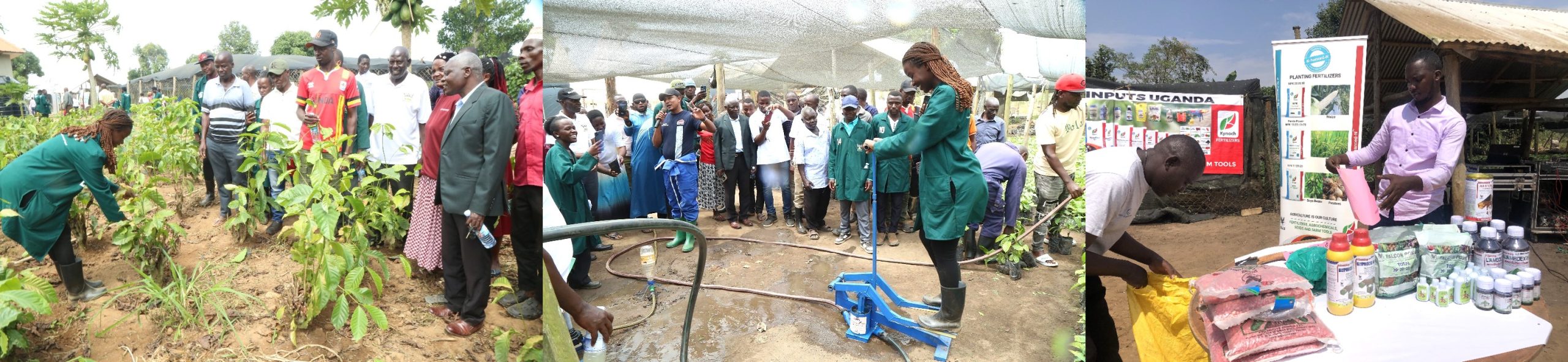 Interns attached to Masaka District presenting the projects they worked on. This was during the Field Day activities held at Green Valley Farm on 23rd July 2025. College of Agricultural and Environmental Sciences (CAES) at Makerere University, Kampala Uganda, East Africa revitalization of internship programme for 51 students at Mbulamu Integrated Farm, Mpigi District and Green Valley Farm, Masaka District. Coordinators: Dr. Emmanuel Opolot, Dr. Gabriel Karubanga.