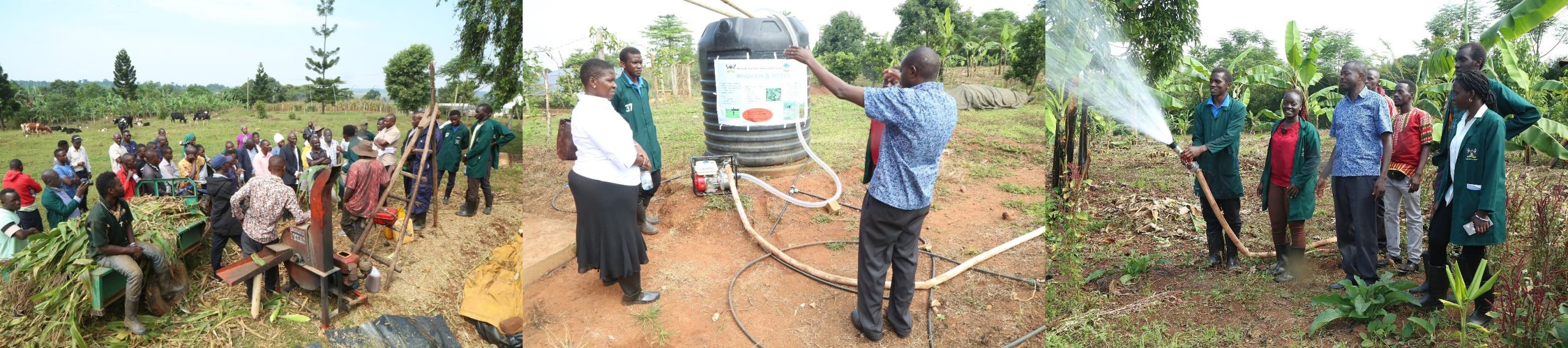 Students attached to Mpigi District showcasing their projects during the Field Day activities at Mbulamu Integrated Farm. College of Agricultural and Environmental Sciences (CAES) at Makerere University, Kampala Uganda, East Africa revitalization of internship programme for 51 students at Mbulamu Integrated Farm, Mpigi District and Green Valley Farm, Masaka District. Coordinators: Dr. Emmanuel Opolot, Dr. Gabriel Karubanga.