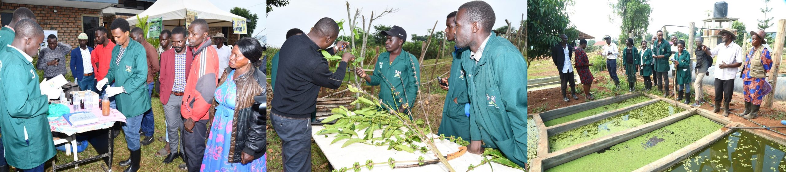 Students attached to Mpigi District showcasing some of the projects they worked on during their training. This was during the Field Day ceremony held at Mbulamu Integrated Farm on 22nd July 2025. College of Agricultural and Environmental Sciences (CAES) at Makerere University, Kampala Uganda, East Africa revitalization of internship programme for 51 students at Mbulamu Integrated Farm, Mpigi District and Green Valley Farm, Masaka District. Coordinators: Dr. Emmanuel Opolot, Dr. Gabriel Karubanga.