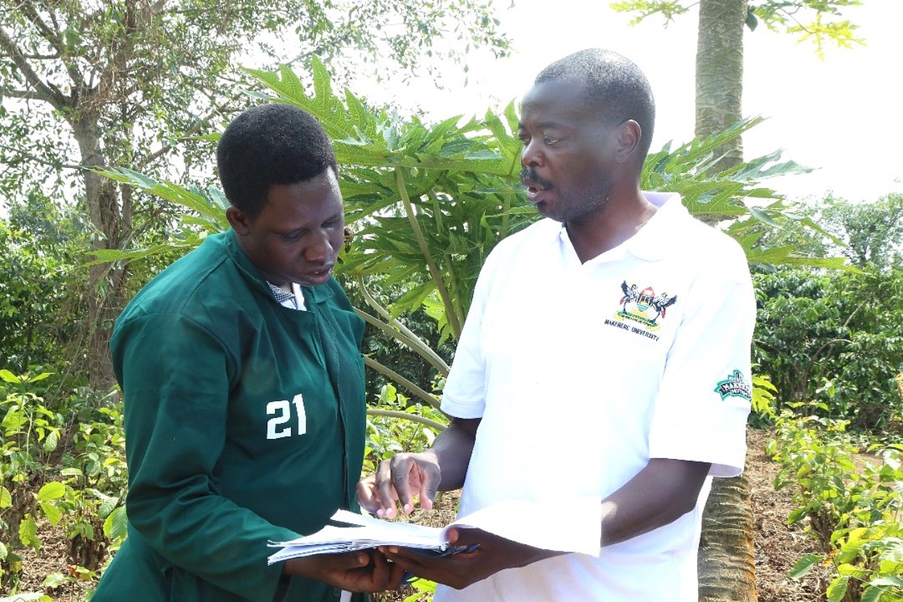 Dr. Joshua Wanyama guiding one of the interns at Green Valley Farm. College of Agricultural and Environmental Sciences (CAES) at Makerere University, Kampala Uganda, East Africa revitalization of internship programme for 51 students at Mbulamu Integrated Farm, Mpigi District and Green Valley Farm, Masaka District. Coordinators: Dr. Emmanuel Opolot, Dr. Gabriel Karubanga.