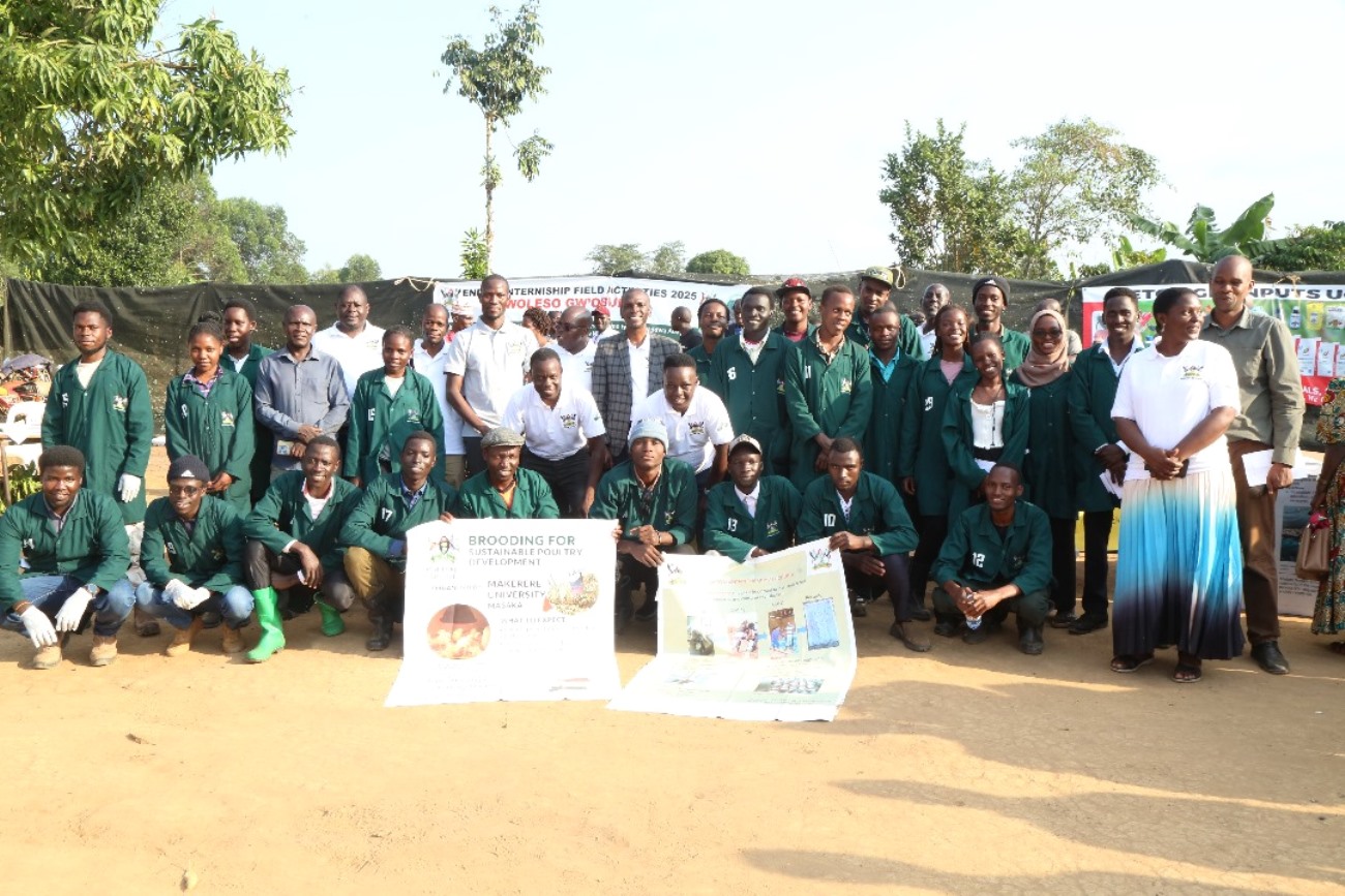 The interns attached to Masaka District together with the programme coordinators and supervisors during the Field Day ceremony held at Green Valley Farm in Kyesiiga Sub-county. College of Agricultural and Environmental Sciences (CAES) at Makerere University, Kampala Uganda, East Africa revitalization of internship programme for 51 students at Mbulamu Integrated Farm, Mpigi District and Green Valley Farm, Masaka District. Coordinators: Dr. Emmanuel Opolot, Dr. Gabriel Karubanga.