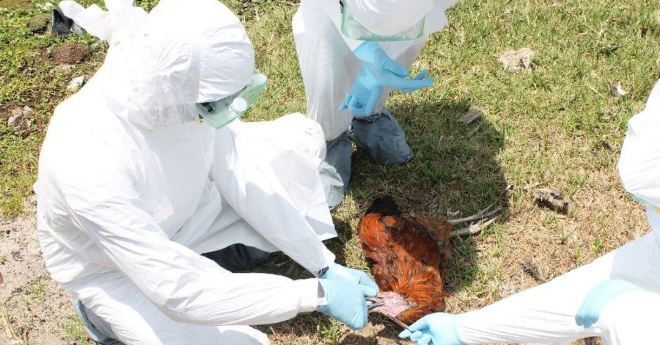 Training of pre-service cadres in outbreak investigation. Photo: CARTA