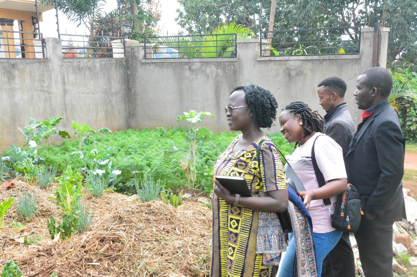 Prof. Asaete, Dr. Nampanzira, Dr. Herbet Mukiibi were conducted around the vegetable garden where the manure is applied. Regional research initiative “Building Capacity for Innovation and Advancement of Climate Smart Agriculture in East and Southern Africa” (CICSA-E&SA) visited to Mr. Mugisha Jonan, urban farmer and environmentalist in Sentema Wakiso District, adoption of innovative practices redefining the feasibility of farming in densely populated urban settings through the Nutrient Recycling Innovation, CoVAB, Makerere University, Kampala Uganda.