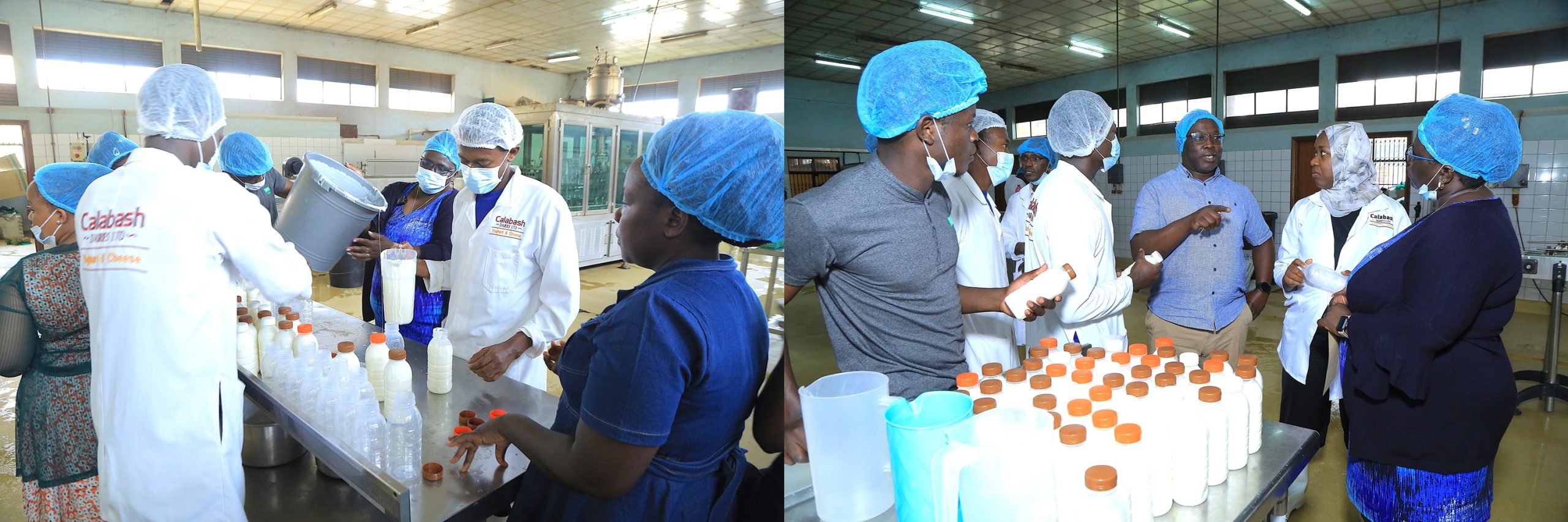 The processors during a training on yogurt production. Department of Food Technology and Nutrition (DFTN) school-based nutrition awareness campaigns, diagnostic pre-visits to local food processors, and an intensive two-day hands-on training workshop held from 8th–9th September 2025 at the School of Food Technology, Nutrition, and Bioengineering (SFTNB), College of Agricultural and Environmental Sciences (CAES), Makerere University, Kampala Uganda, East Africa.