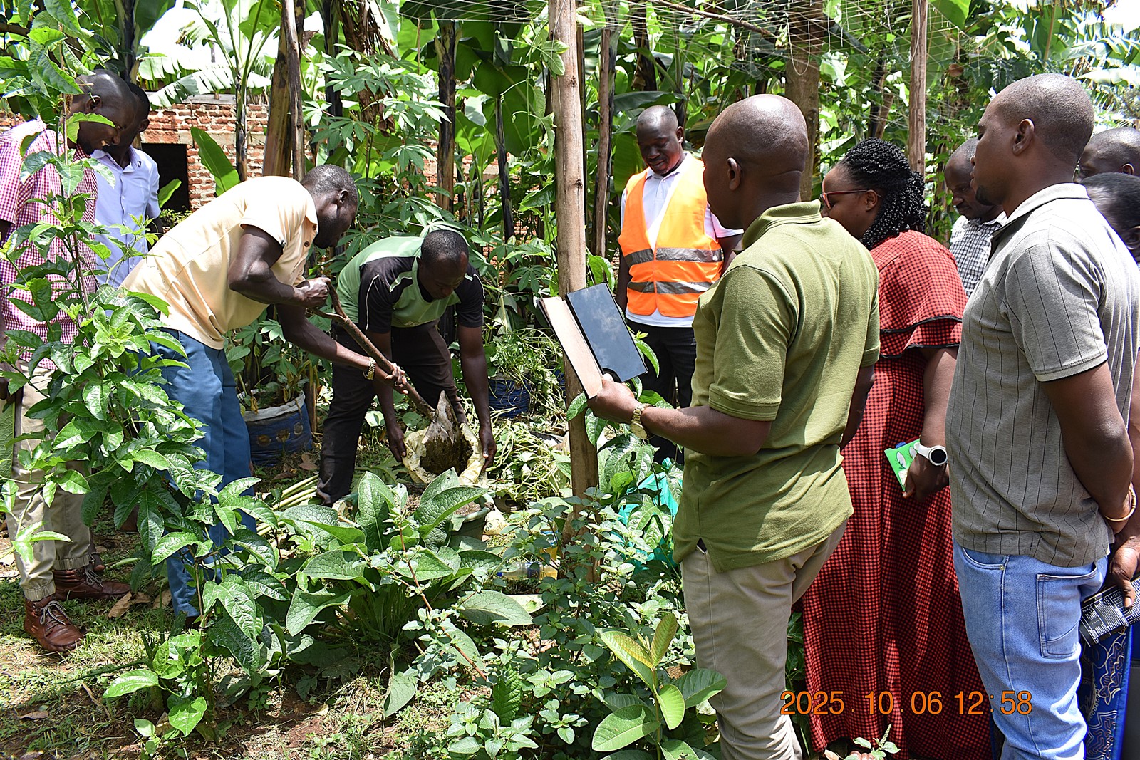 Mr. Henry Stanely Mbowa prepares the team for a training the the production of organic fertilizers using cow dung. Phase II of the Resilient Urban Food Systems (RUFS) Project, Department of Geography, Geo-Informatics, and Climatic Sciences at Makerere University, Kampala Uganda, East Africa and funded through the AgriFoSe2030 Programme, practical techniques for producing organic fertilizers and pesticides using affordable, locally available materials 6th to 7th October 2025, Emily Royal Mixed Farm, Industrial City Division, Mbale City.