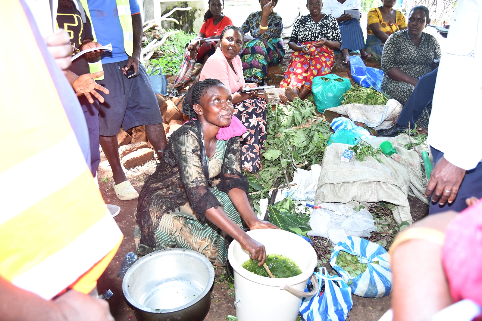 Farmers use nutrient rich plants to produce pesticides. The Resilient Urban Food Systems (RUFS) project led by Prof. Frank Mugagga, Department of Geography, Geo-Informatics, and Climatic Sciences, CAES, Makerere University, Kampala and funded through the AgriFoSe2030 Programme initiative titled “Strengthening Urban Food Systems Resilience to Flood and Drought Risks through New Strategic Partnerships: Consolidating Gains from the RUFS Project in Kasese Municipality and Mbale City, Uganda,” intensive two-day training workshop for smallholder farmers in Kasese Municipality 13th and 14th October 2025, East Africa.