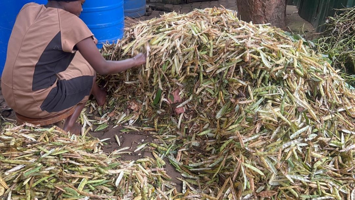 Some of the wastes are transformed into valuable energy sources at the farm. Regional research initiative “Building Capacity for Innovation and Advancement of Climate Smart Agriculture in East and Southern Africa” (CICSA-E&SA) visited Prof. Jolly M. L. Kabirizi, Executive Director of Kyakuwa Dairy Farm and animal research scientist at Valley University of Science and Technology, welcomed the Makerere University team to the model site for urban farming innovations in Wakiso District, Uganda, East Africa