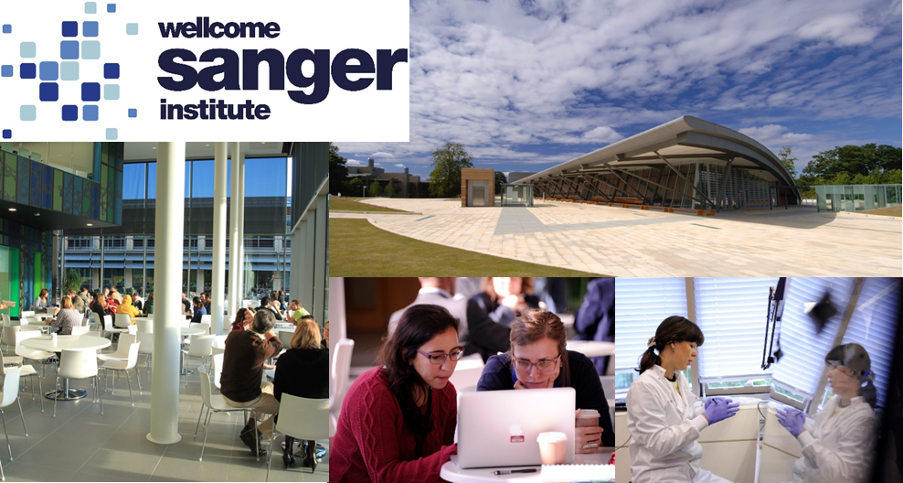1-year research MPhil in Genomic Science studentships. Photo: Wellcome Sanger Institute