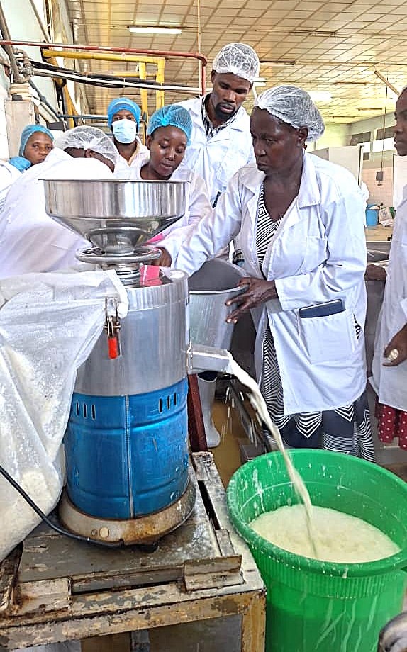 Some of the Processors during the training in the Food Technology and Business Incubation Centre at Makerere University. Department of Food Technology and Nutrition (DFTN) in collaboration with Smart Foods Uganda Ltd five-day intensive training on soybean value addition and product development implemented with support from IITA Uganda under the Training for African Agricultural Transformation (TAAT) Soy Compact Project, aimed at strengthening agro-processing capacities and promoting soybean utilization for improved nutrition and livelihoods, 24th to 28th November 2025, Makerere University Food Technology and Business Incubation Centre (FTBIC), Kampala Uganda, East Africa.