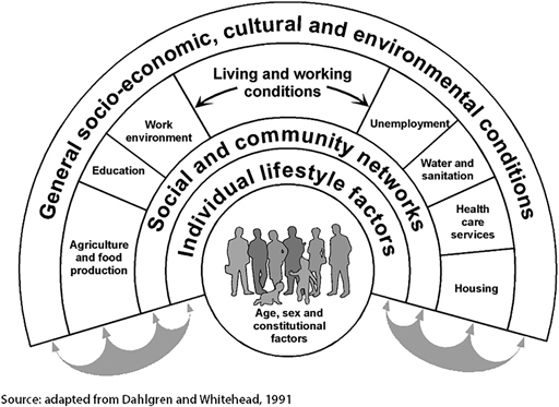 Dahlgren and Whitehead model of the social determinants of health. Source: internet.