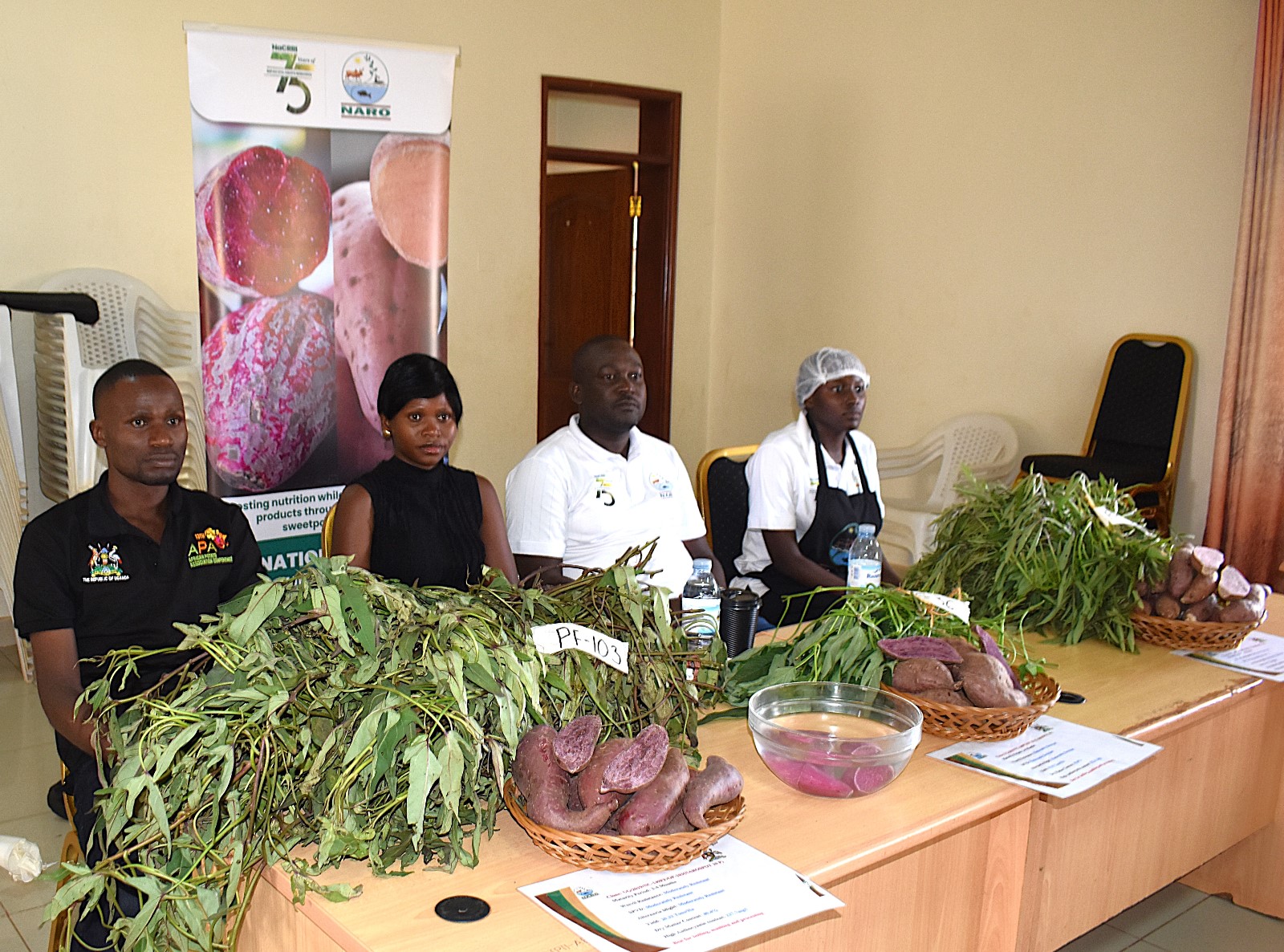 The team from NARO showcasing the three approved purple-fleshed sweet potato varieties - NAROSPOT 8P, 9P, and 10P. National Variety Release Committee (NVRC) official approval of Maksoy 7N, the latest soybean variety developed by the Makerere University Centre for Soybean Improvement and Development (MAKCSID), Department of Crop Science and Horticulture, College of Agricultural and Environmental Sciences during committee’s 47th meeting at National Agricultural Research Laboratories (NARL), Kawanda, Wakiso, Uganda, East Africa on 13th February 2026