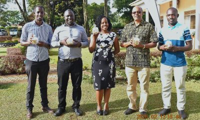The team from MakCSID led by Prof. Phinehas Tukamuhabwa (Principal Investigator, 2nd R) after the approval of MakSoy 7N by the National Variety Release Committee on 13th February 2026. National Variety Release Committee (NVRC) official approval of Maksoy 7N, the latest soybean variety developed by the Makerere University Centre for Soybean Improvement and Development (MAKCSID), Department of Crop Science and Horticulture, College of Agricultural and Environmental Sciences during committee’s 47th meeting at National Agricultural Research Laboratories (NARL), Kawanda, Wakiso, Uganda, East Africa on 13th February 2026