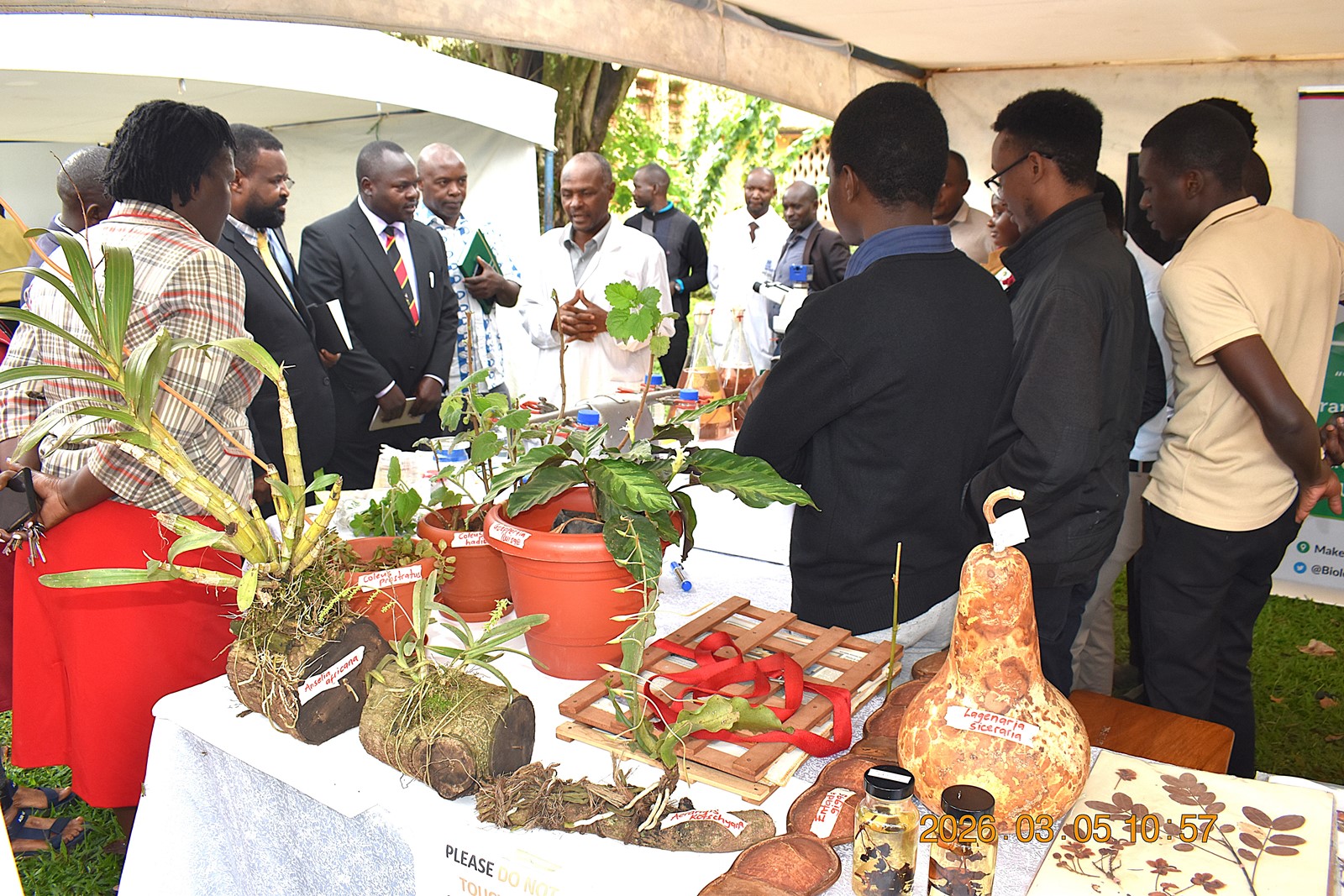 Prof. Wamala at the Plant Sciences Stall. College of Natural Sciences (CoNAS) successfully held its first Annual Science Exhibition from Thursday, 5th March to Saturday, 7th March 2026, at the Science Quadrangle, Makerere University, Kampala Uganda, East Africa.